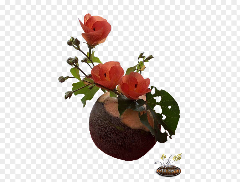 Flower Garden Roses Kaattu Vannu Kallane Pole Cut Flowers Floral Design PNG