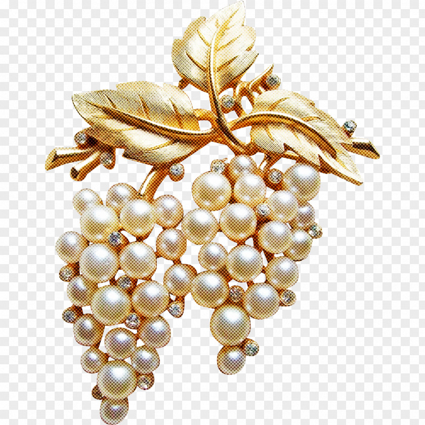 Grapevine Family Vitis Brooch Pearl Jewellery Plant Grape PNG