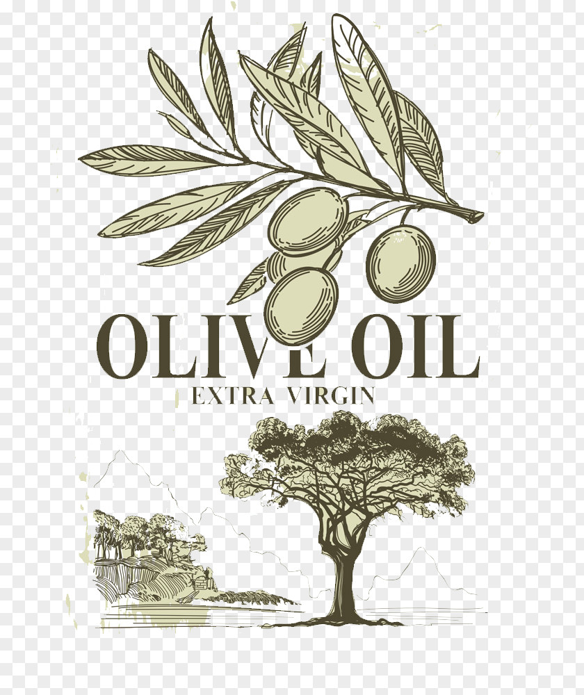 Hand-painted Olives Olive Oil Italian Cuisine PNG