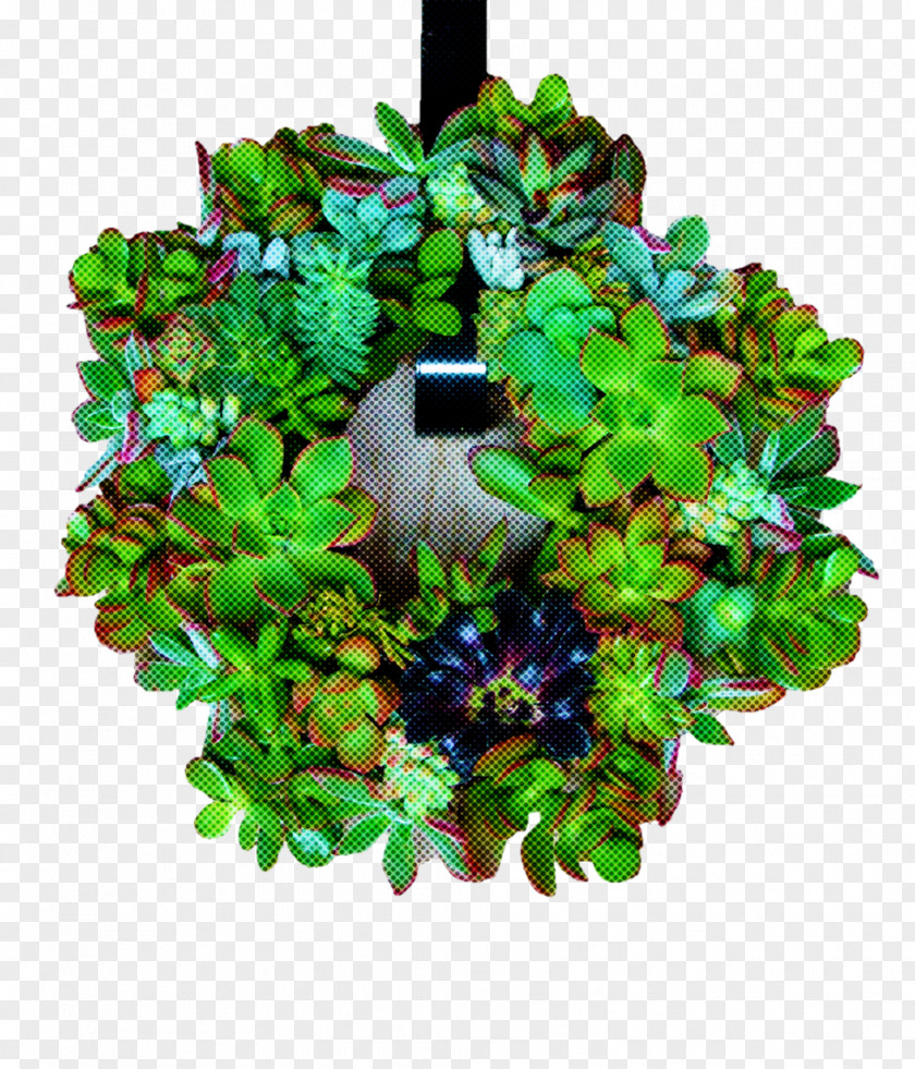 Ivy PNG