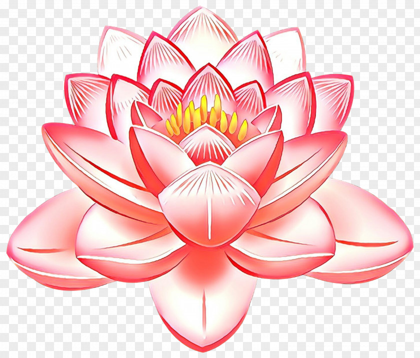 Sacred Lotus Image Desktop Wallpaper Free Content Clip Art PNG