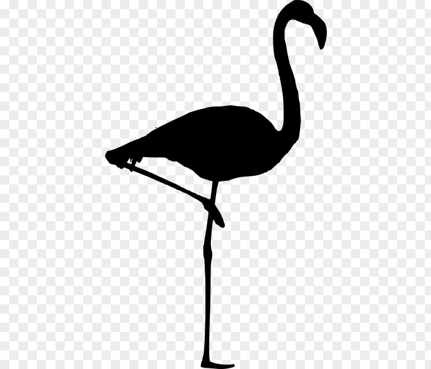 Bird Goose Silhouette Flamingo Clip Art PNG