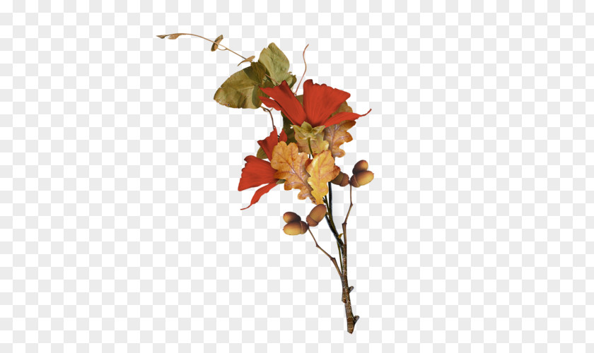 Falling Flowers Autumn Clip Art PNG