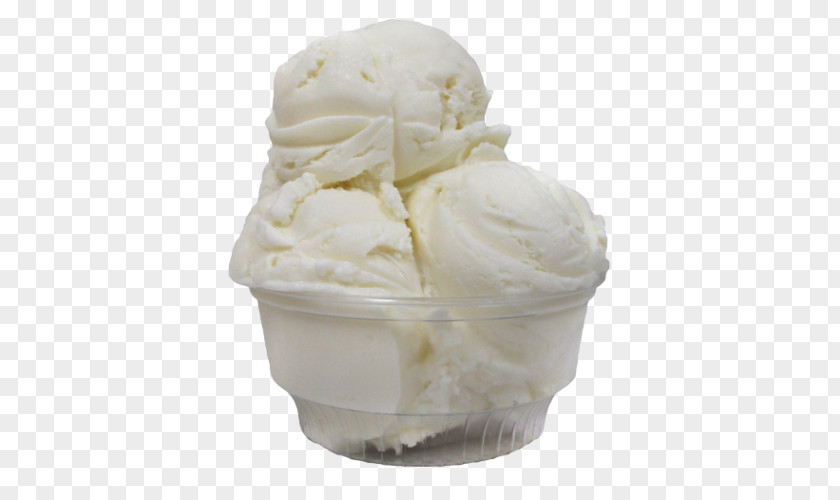 Ice Cream Babcock Hall Dairy Store Custard Frozen Yogurt PNG