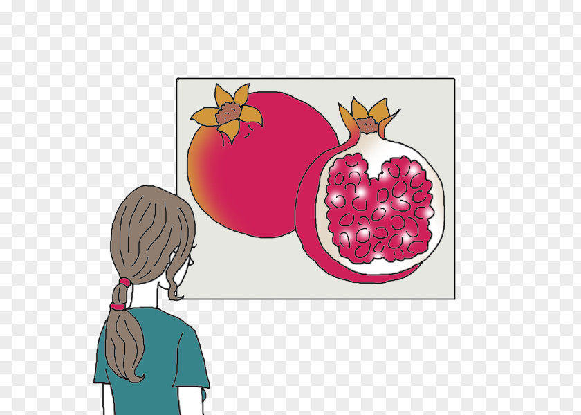 Pomegranate Dream Dictionary Interpretation Fruit PNG