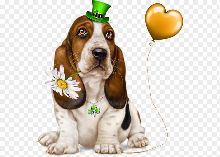 Puppy Dog Breed Basset Hound Artésien Normand Companion PNG