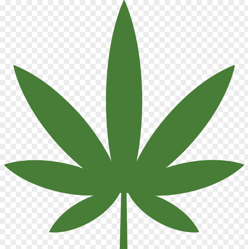 Flag Kanepi Of The United States Cannabis Jamaica PNG