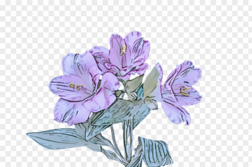 Floral Design PNG