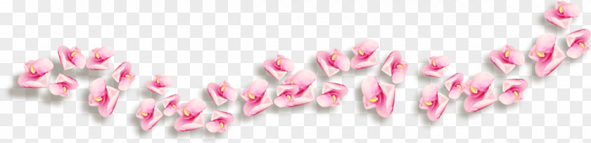Pink Petals Flying Flower Picture Frames Clip Art PNG