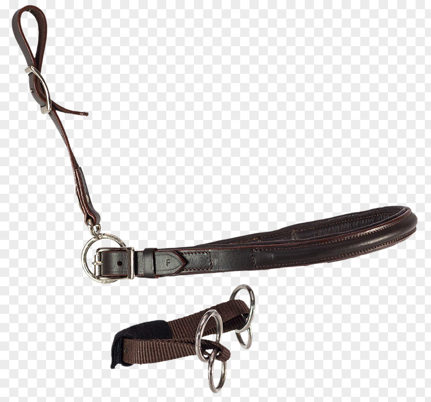 Sarah Engels Leash Bitless Bridle Noseband Strap PNG