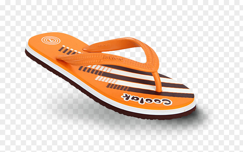 Sports Shoes Flip-flops Slipper Footwear Shoe Clothing PNG