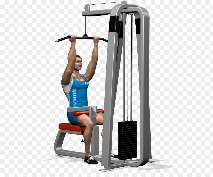 Stange Shoulder Pulldown Exercise Latissimus Dorsi Muscle PNG