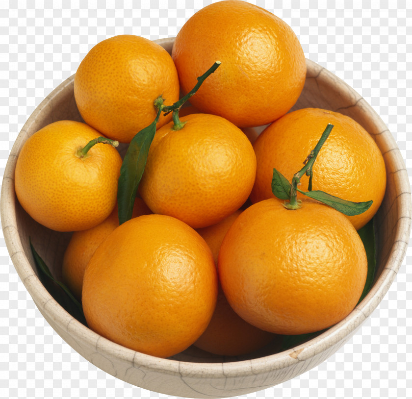 Gourmet Feast Mandarin Orange Tangerine Bitter PNG