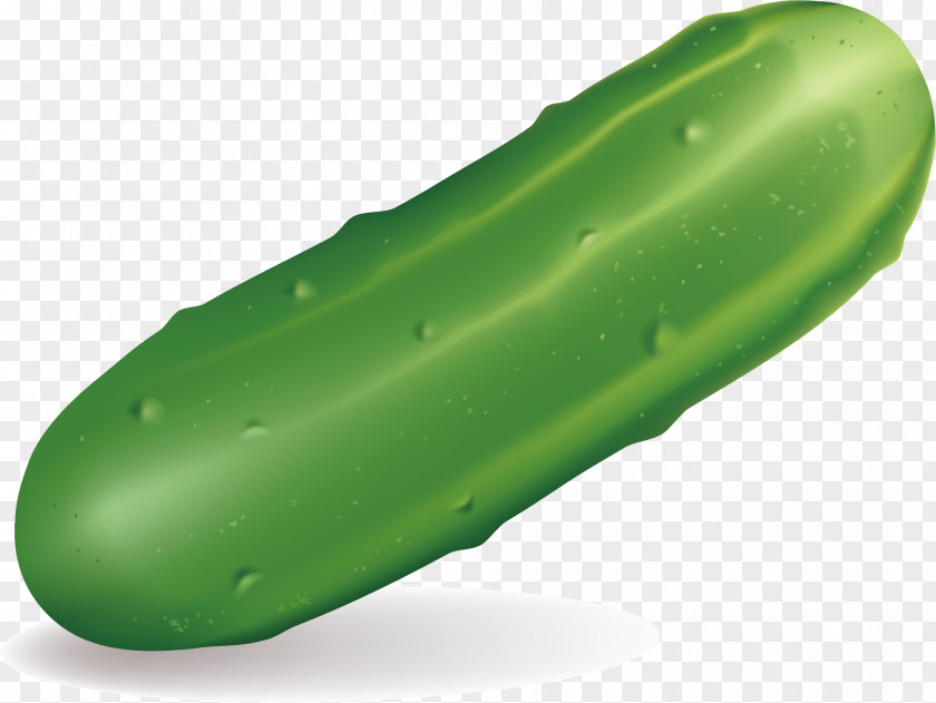 Hand-painted Vegetable Material Cucumber Auglis PNG