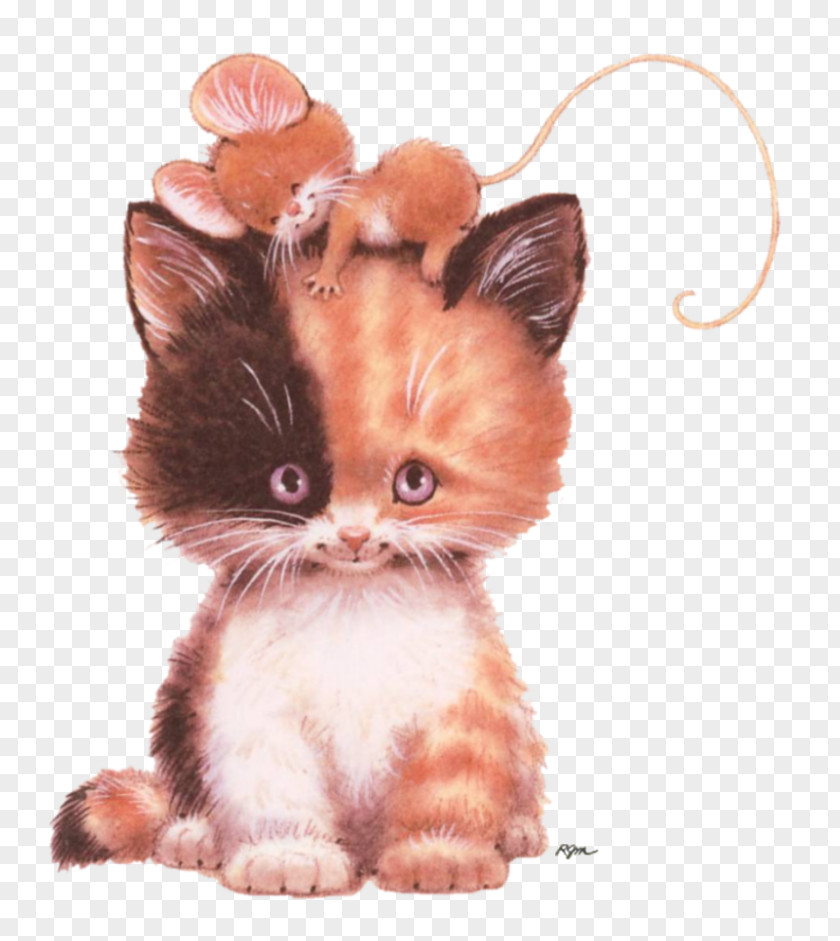 Kitten Computer Mouse Persian Cat And PNG