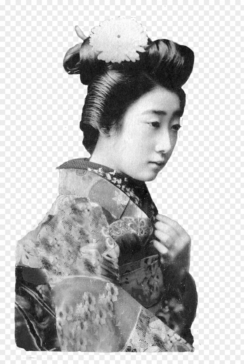 Lady Bird Collage Work Of Art Geisha Rue Monnot Hair PNG