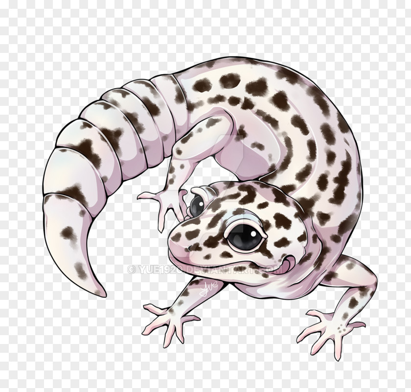 Leopard Gecko Crested Reptile Art Frog PNG