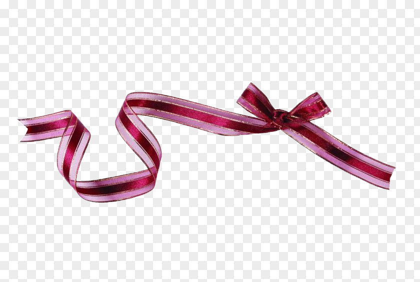 Ribbon Shoelace Knot PNG