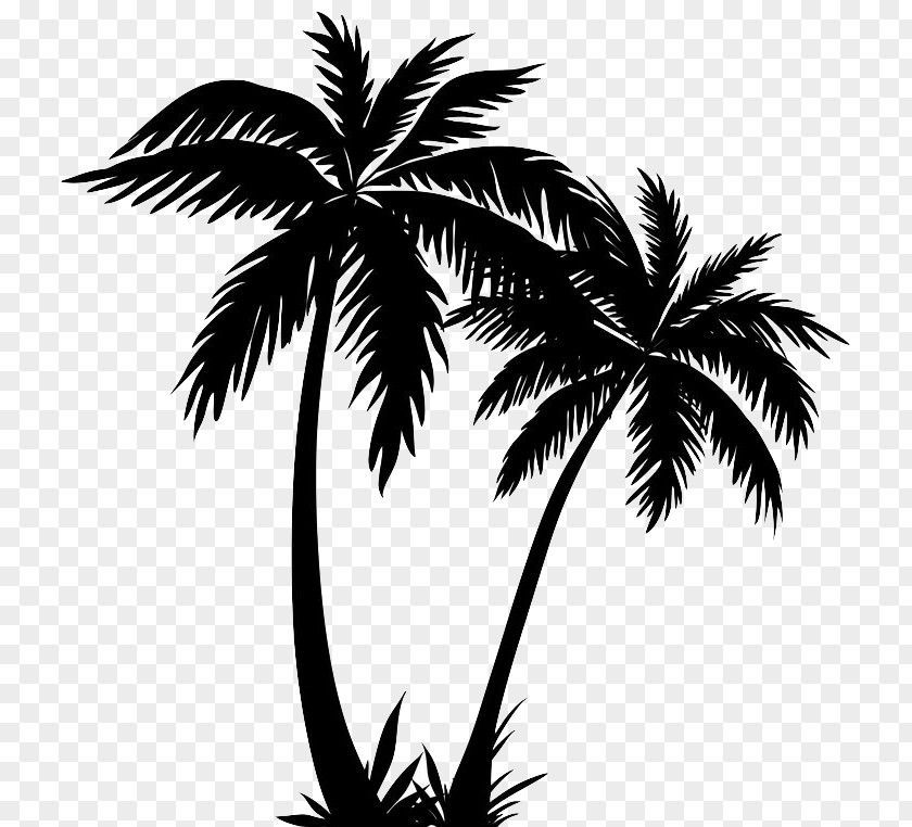 Silhouette Palm Trees Clip Art Drawing Vector Graphics PNG