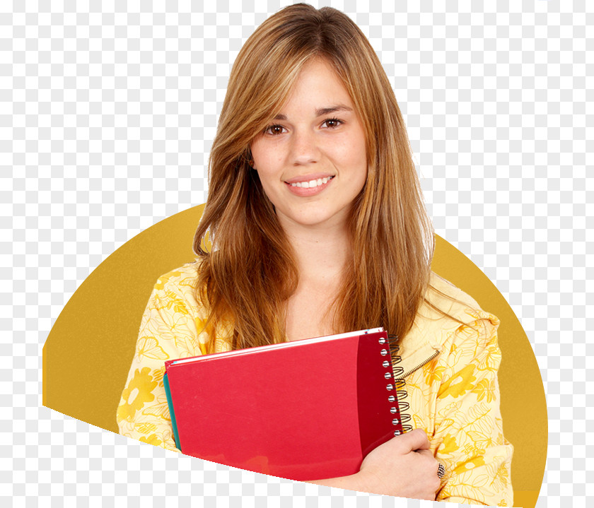 Student Higher Education Essay Writing PNG
