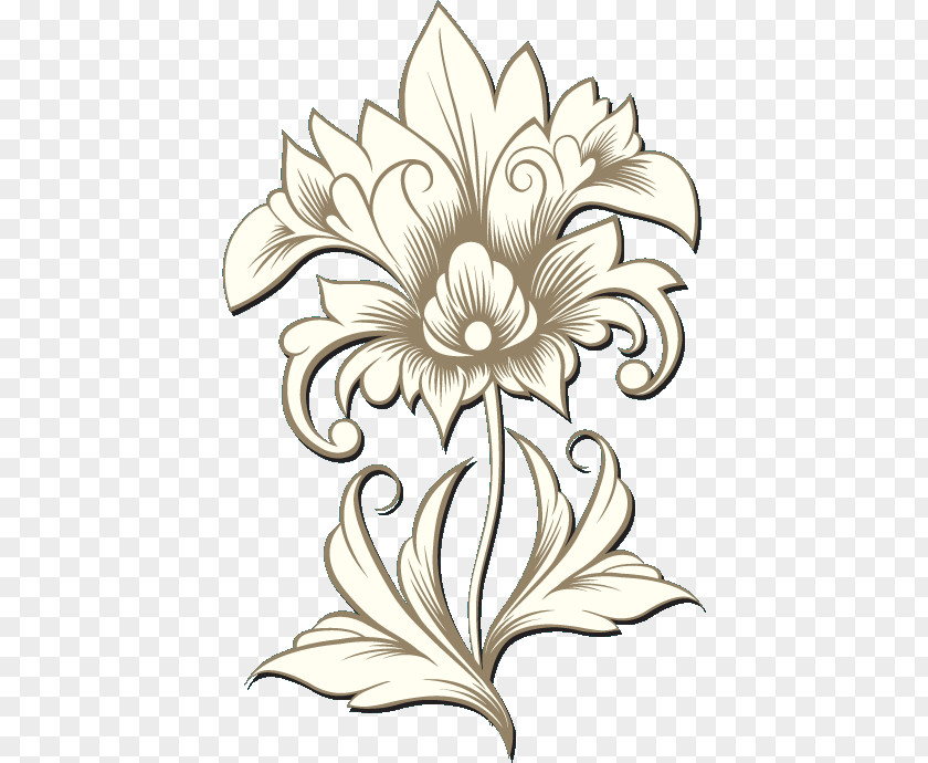 Wildflower Ornament Flower Line Art PNG