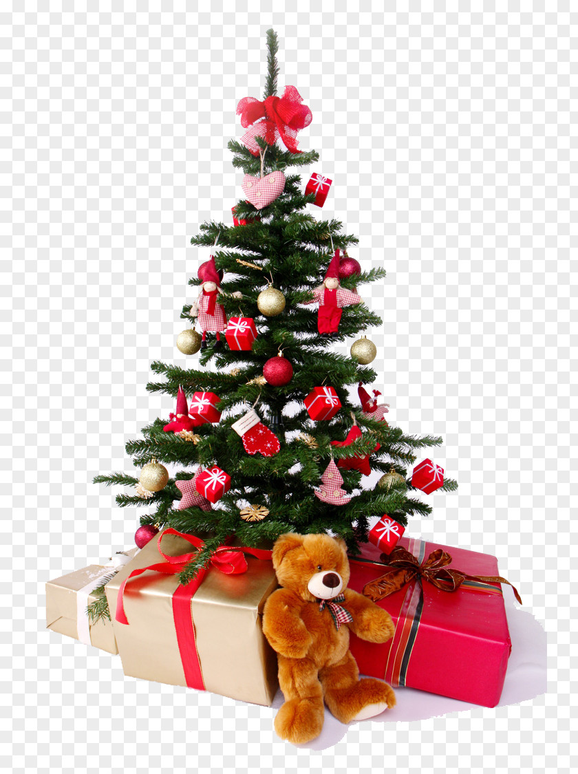 Christmas Tree Gift Decoration PNG