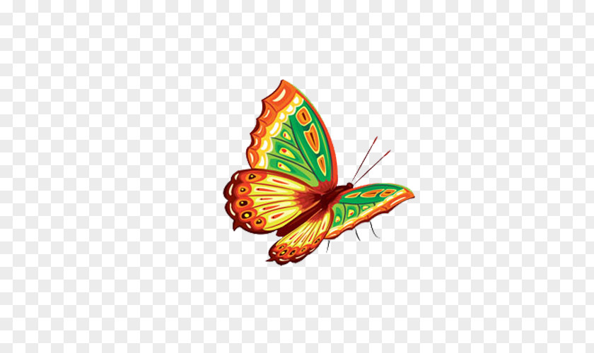 Butterfly Color Clip Art PNG