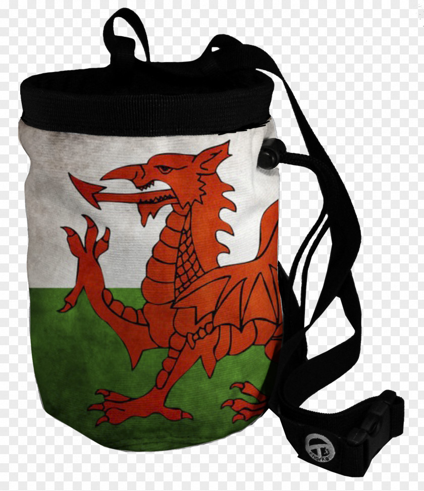 Flag Of Wales Welsh Dragon Circuit PNG