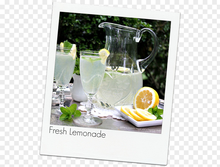 Glass Gin And Tonic Table-glass Lemonade PNG