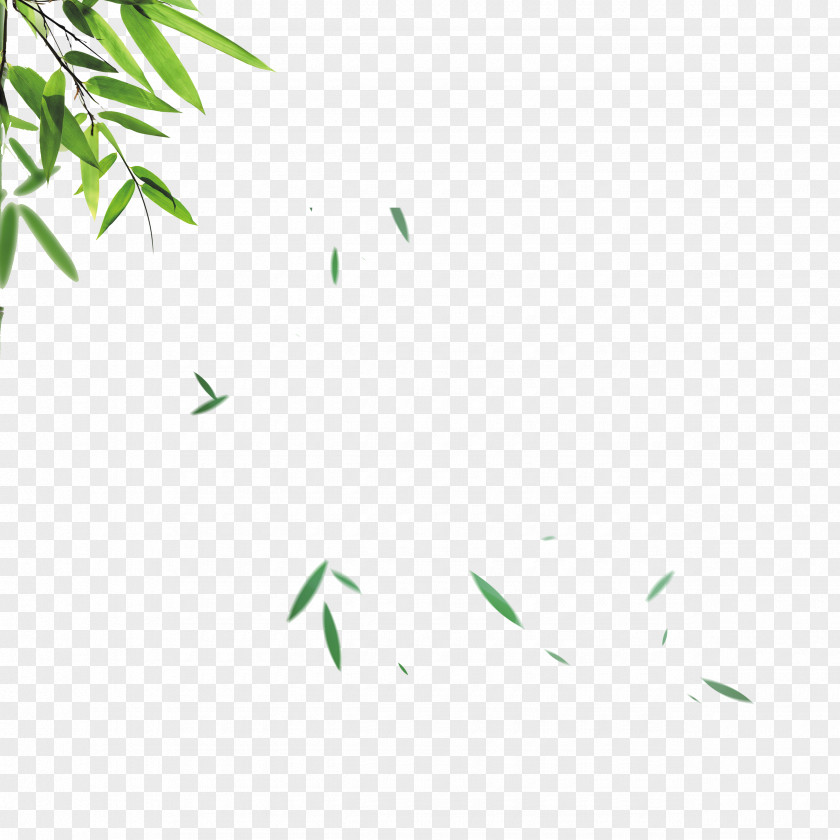 Green Bamboo Leaves Falling Material Leaf Skin PNG