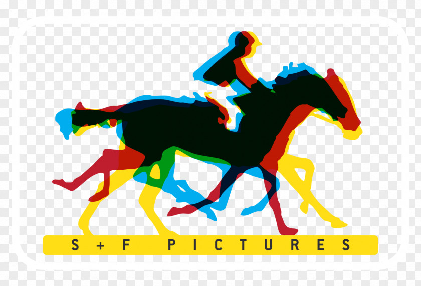 Mustang Pony Equestrian Stallion Soureh Film Club PNG