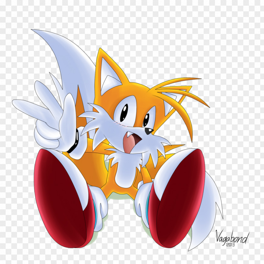 Nine Tailed Fox Tails Sonic The Hedgehog Chaos DeviantArt PNG