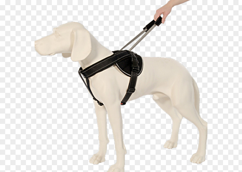 Dog Leash Harness Horse Harnesses Braces PNG