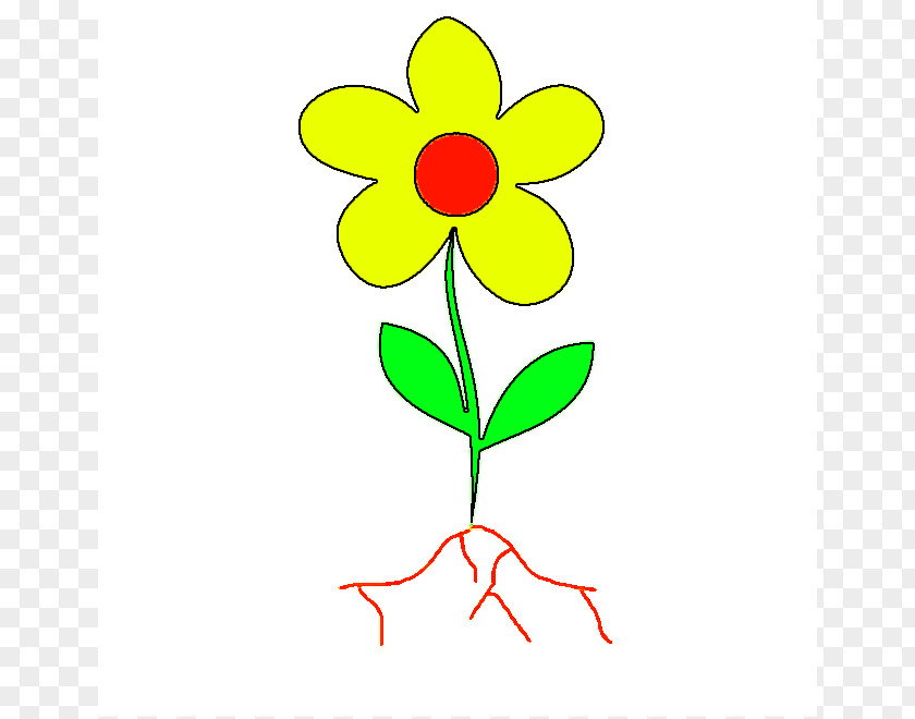 Flower Stem Template Root Plant Leaf Clip Art PNG