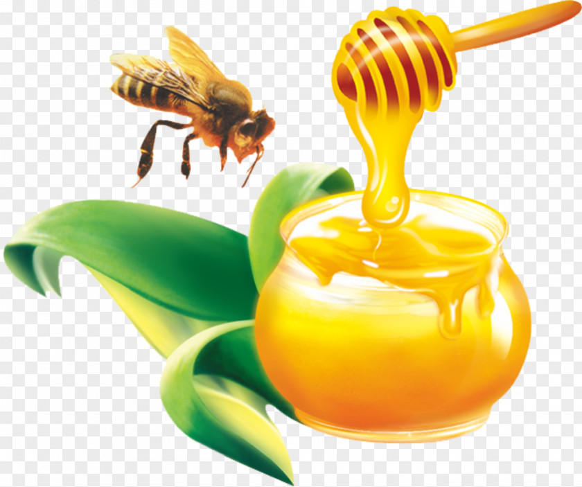 Honey Australia Bee Comb Honeycomb PNG