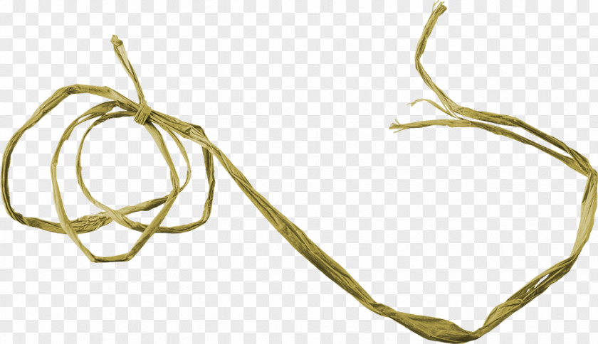 Rope Picture Material Resource PNG