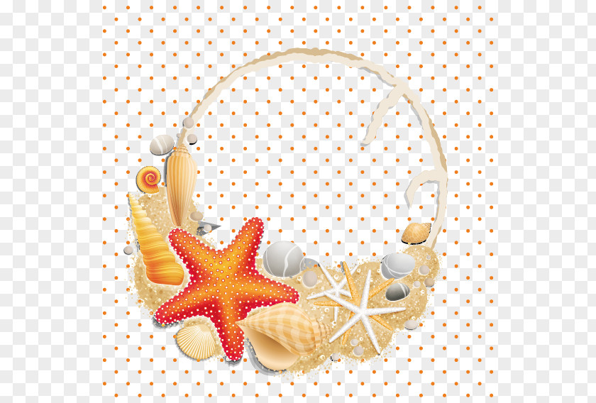 Shell Basket Vector Seashell Clip Art PNG