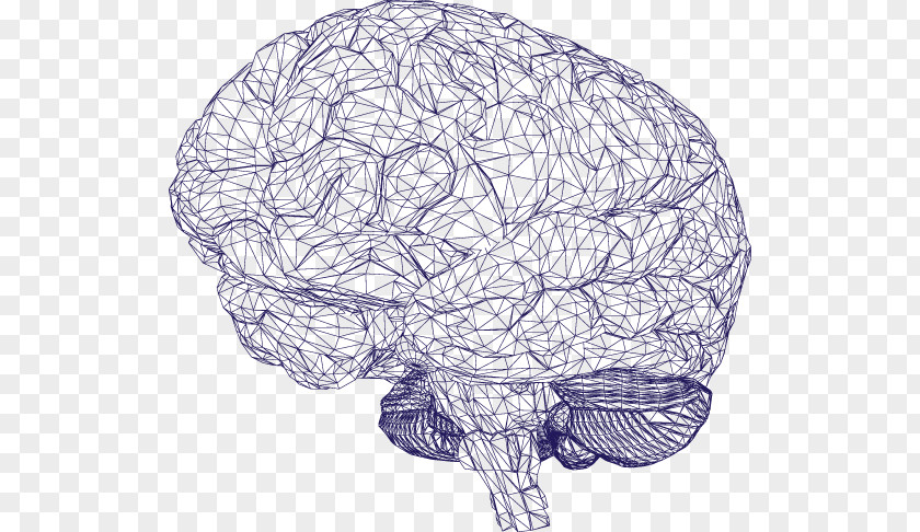 Brain Google Artificial Intelligence Computer Watson PNG