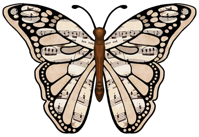 Butterfly Drawing Clip Art PNG