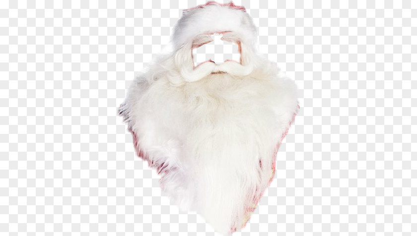 Fur Neck PNG