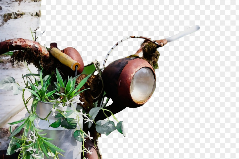 M-tree Tree PNG