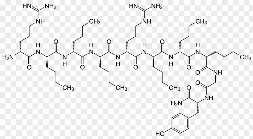 Oxytocin Endorphins Alpha-Endorphin Beta-Endorphin Peptide Neurotransmitter PNG