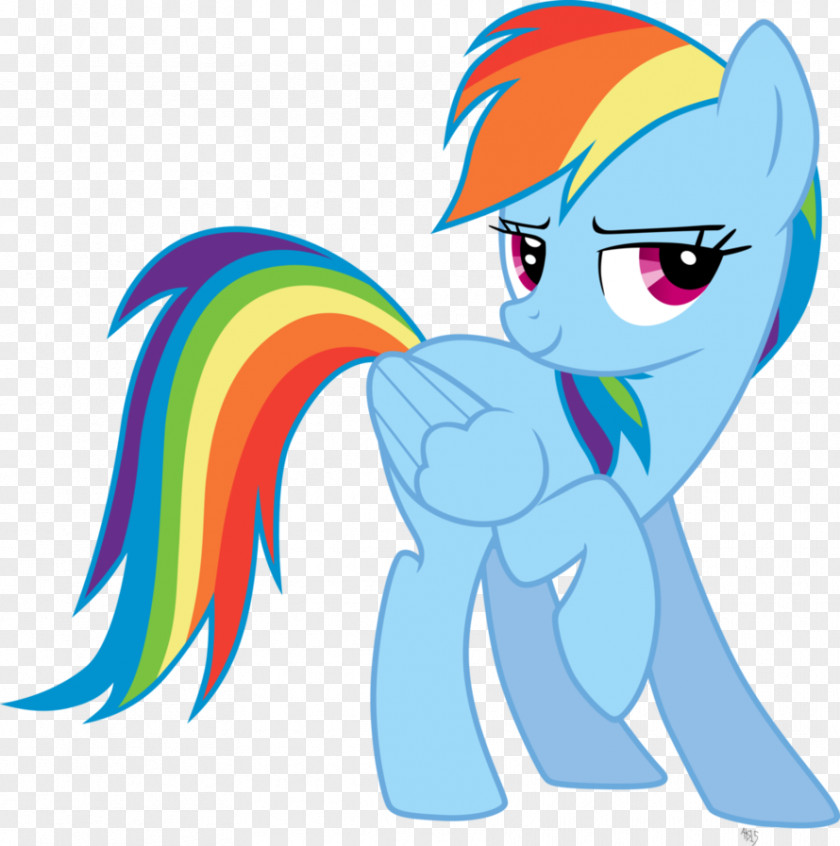Rainbows Rainbow Dash My Little Pony Horse PNG