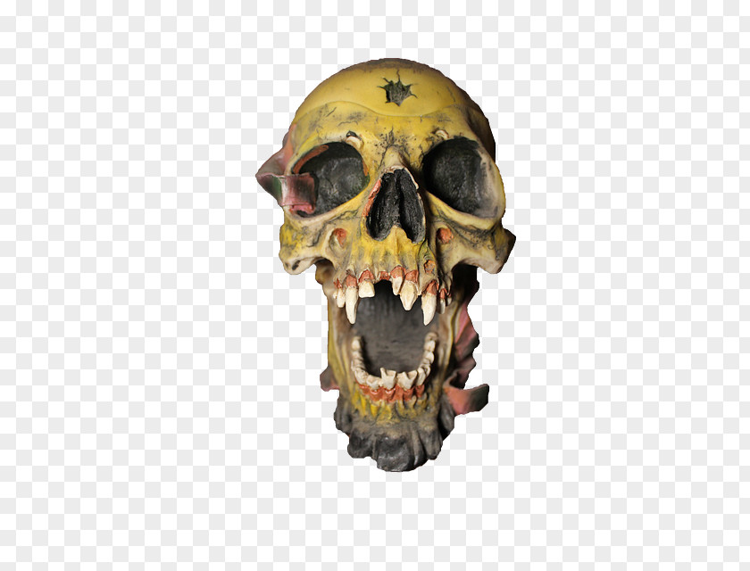 Skull Bone Skeleton Animaatio PNG