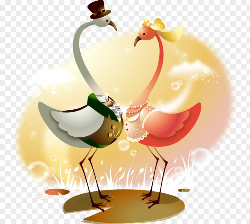 Swan Cartoon Drawing Wallpaper PNG