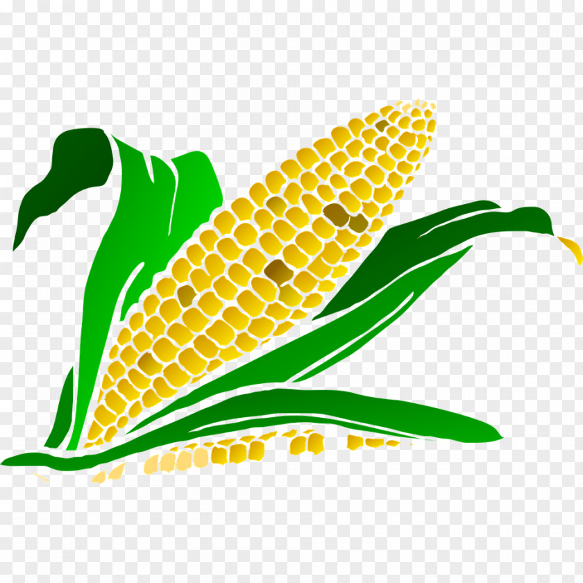 Corn Candy Maize Sweet Clip Art PNG