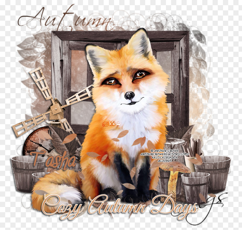Cozy Red Fox Mammal Dog Whiskers Canidae PNG