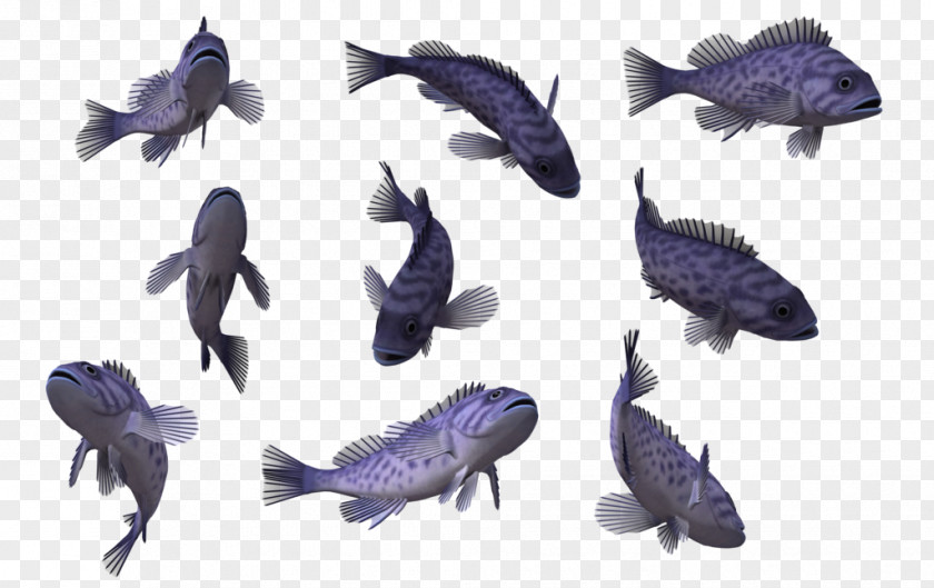 Deep Sea Goldfish 3D Computer Graphics Clip Art PNG