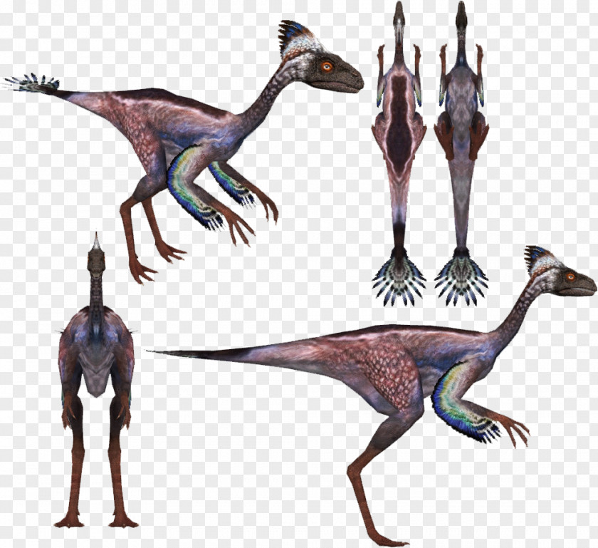 Dinosaur Incisivosaurus Velociraptor Protarchaeopteryx Tarbosaurus PNG