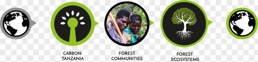 Forest Conservation In The United States Reducing Emissions From Deforestation And Degradation Movement PNG